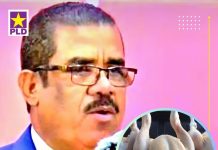 Sánchez Roa denuncia libra de pollo se está vendiendo hasta 125 pesos