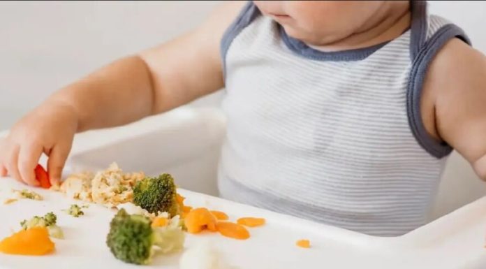 Pediatra Luli Gil explica cuándo y cómo iniciar la alimentación complementaria en los bebés