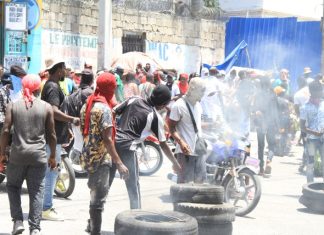 Mueren 43 policías en 11 meses en lucha antipandillas en Haití