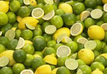 Clúster del Limón alerta sobre riesgos fitosanitarios por importación de productos agrícolas