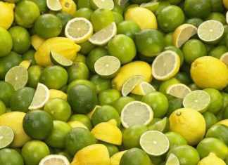 Clúster del Limón alerta sobre riesgos fitosanitarios por importación de productos agrícolas