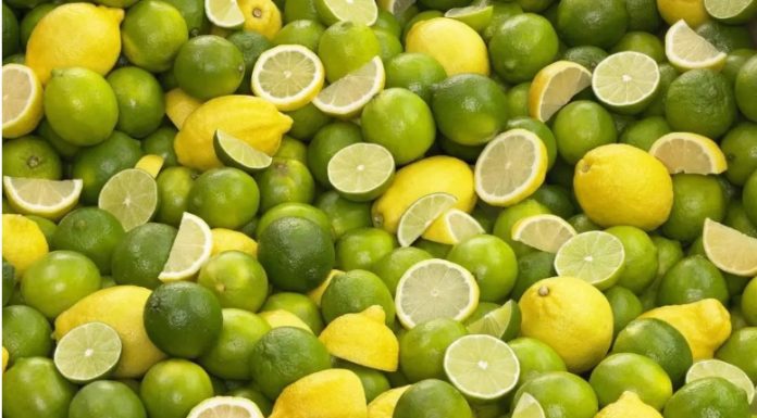 Clúster del Limón alerta sobre riesgos fitosanitarios por importación de productos agrícolas