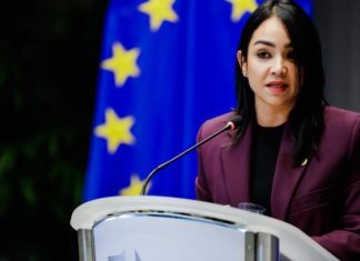 Faride dice gestión de Abinader ha colocado el combate al tráfico de migrantes como prioridad de Estado