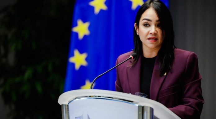 Faride dice gestión de Abinader ha colocado el combate al tráfico de migrantes como prioridad de Estado