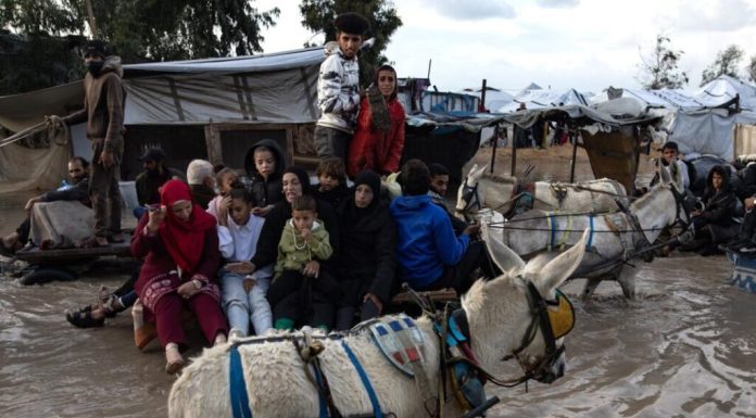 Al menos 8 muertos en Gaza por el colapso de edificios y el frío debido al temporal