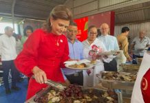 Vicepresidenta Raquel Peña recomienda disfrutar con prudencia para evitar tragedias en estas navidades