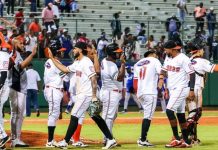 Toros del Este derrotan al Licey y llegan a su triunfo 26 de la temporada