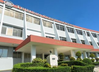 Tribunal Constitucional afirma fichas policiales no vulneran derechos si no son públicos