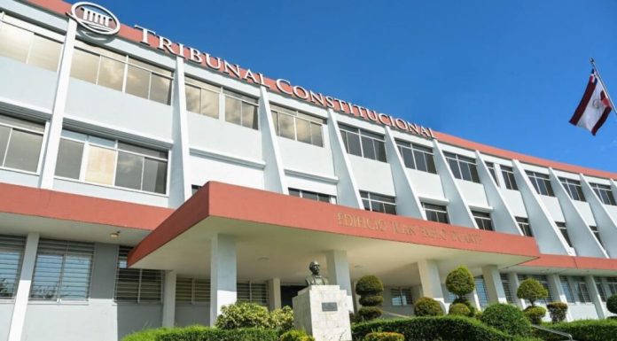 Tribunal Constitucional afirma fichas policiales no vulneran derechos si no son públicos