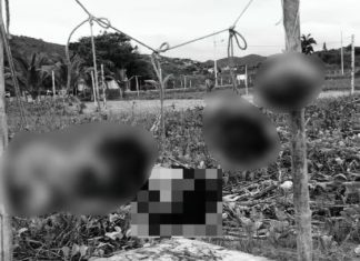 Hallan cinco cabezas humanas colgadas en una playa de Ecuador