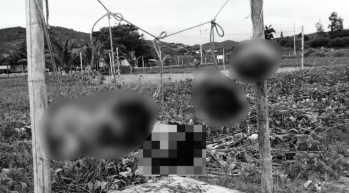 Hallan cinco cabezas humanas colgadas en una playa de Ecuador