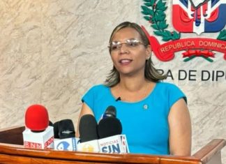 Diputada somete proyecto prohibe entrada a RD de mujeres extranjeras con más de seis meses de embarazo