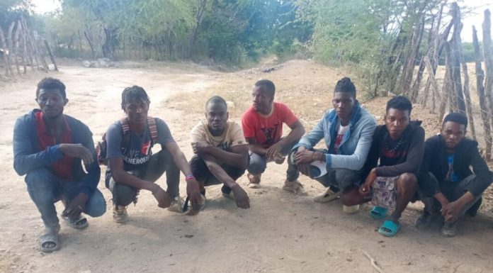 Apresan 282 haitianos indocumentados en diferentes provincias de la Región Sur de RD