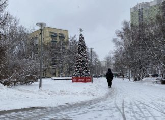 Moscú decreta alerta naranja ante las intensas nevadas