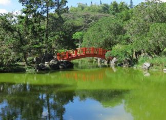 Presidente Abinader declara de alto interés público la creación del Jardín Botánico de San Juan de la Maguana