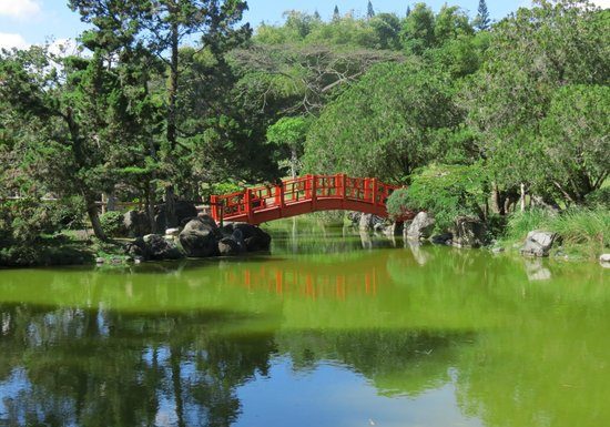 Presidente Abinader declara de alto interés público la creación del Jardín Botánico de San Juan de la Maguana