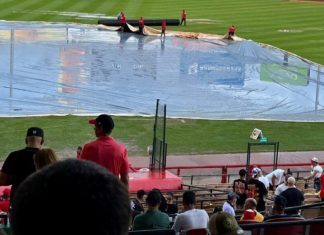 Suspendido por lluvia el juego entre Leones y Águilas; será reasignado para este domingo
