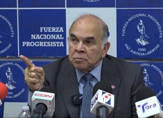 Pelegrín Castillo considera mano de obra haitiana no es necesaria en sectores agropecuario y construcción en RD