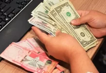 Banco Central informa que flujos de remesas alcanzaron US$11,866.3 millones en 2025