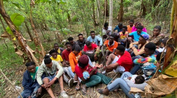 Patrulla del Ejército intercepta grupo de 30 haitianos indocumentados en zona montañosa de Guayubín