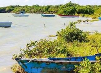 Municipalidades Verdes rechaza sentencia sobre mutilación del Parque Nacional Jaragua
