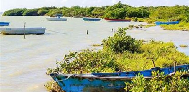 Municipalidades Verdes rechaza sentencia sobre mutilación del Parque Nacional Jaragua
