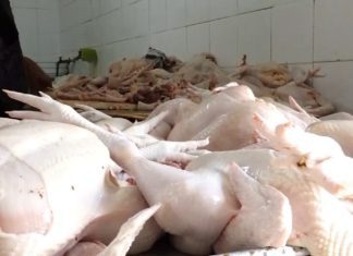 Director de Proconsumidor revela precios de la carne de pollo comienzan a bajar; dice en marzo ya no habrá inconvenientes