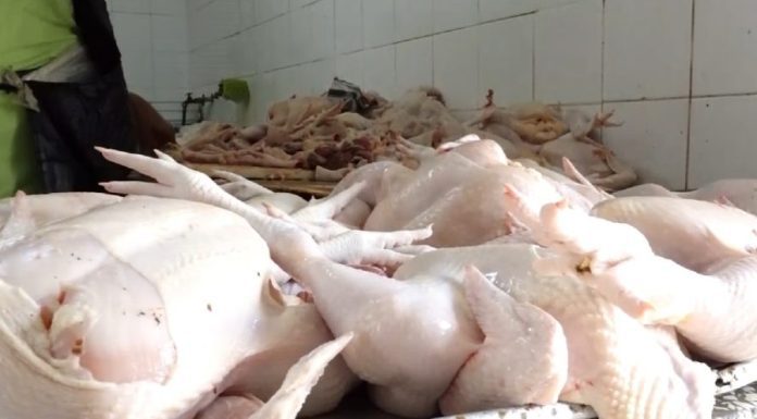 Director de Proconsumidor revela precios de la carne de pollo comienzan a bajar; dice en marzo ya no habrá inconvenientes