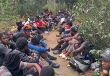 Sesenta y seis haitianos indocumentados son apresados por el Ejército en Dajabón