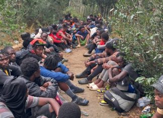 Sesenta y seis haitianos indocumentados son apresados por el Ejército en Dajabón