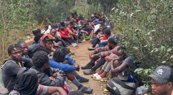 Sesenta y seis haitianos indocumentados son apresados por el Ejército en Dajabón