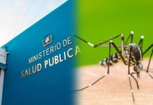 Salud Pública reporta cuatro nuevos casos de dengue y tres de malaria