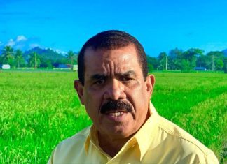 Sánchez Roa exige rescate de 303 pequeños avicultores que están en quiebra