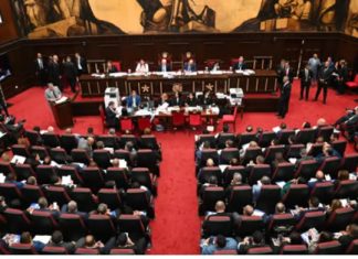 Los diputados eliminan candidaturas independientes; presidente Abinader decidirá si promulga decisión