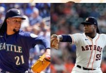 Nelson Cruz confirma que Luis Castillo y Framber Valdez no podrán unirse al equipo dominicano