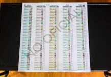 Perú comienza a imprimir su mayor papeleta de votación, con 36 candidatos presidenciales