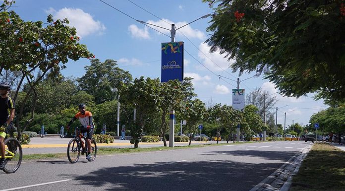 Autoridades extienden hasta el viernes apertura al tránsito vehicular en avenida de la Salud y cierre de la Independencia