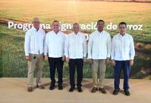 Banreservas destina RD$12,000 millones para financiar producción de arroz 2026-2027