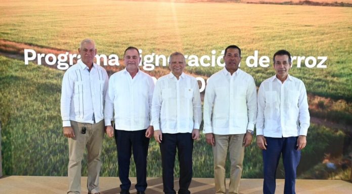 Banreservas destina RD$12,000 millones para financiar producción de arroz 2026-2027