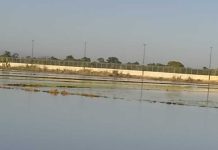 Desbordamiento del Rio Masacre causa graves pérdidas a productores agrícolas