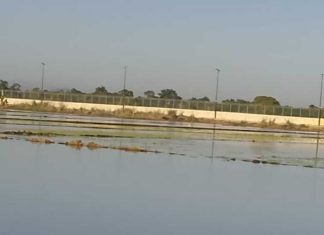 Desbordamiento del Rio Masacre causa graves pérdidas a productores agrícolas