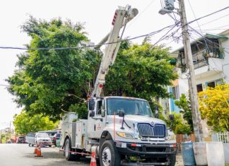 Lluvias afectan servicio eléctrico; Edeeste activa brigadas y pide precaución