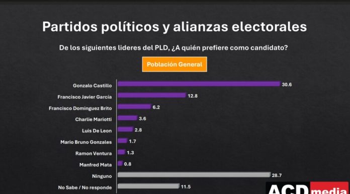 Gonzalo Castillo es preferido por el 30.6 de los dominicanos como candidato presidencial del PLD