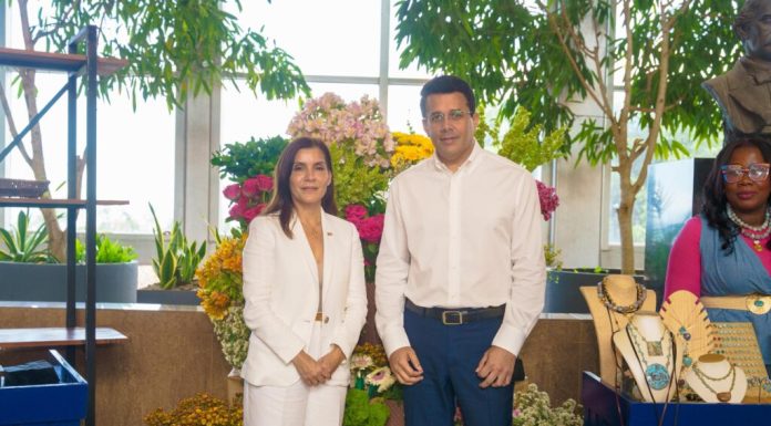 Ministro Collado recibe visita de la embajadora de los Estados Unidos, Leah Campos