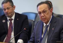 Valdez Albizu proyecta economía dominicana crecerá en torno al 3.5% y 4%