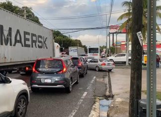Árboles caídos este lunes en el Distrito Nacional causan inconvenientes en el tránsito