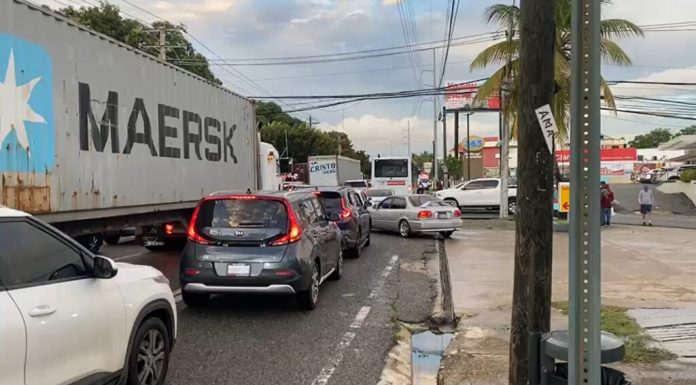Árboles caídos este lunes en el Distrito Nacional causan inconvenientes en el tránsito