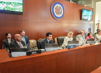 Wellington Arnaud posiciona a República Dominicana ante la OEA como referente regional en agua potable y saneamiento